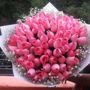 80 Pink Roses